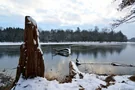 Kaltes Winterwetter am Pfaffensee