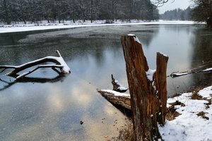 Fotos vom Pfaffensee