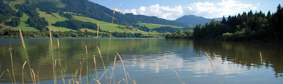 Grüntensee Headmotiv