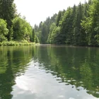 Schöngrundsee