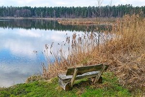 Fotos vom Rußweiher