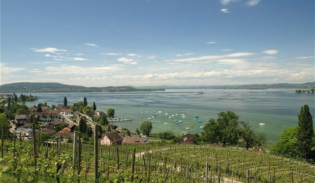 Blick über den Bodensee Blick über den Bodensee