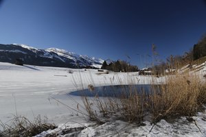 Fotos vom Schönenbodensee