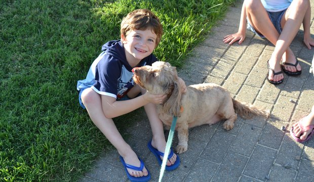 Kleiner Junge knuddelt seinen Hund Kleiner Junge knuddelt seinen Hund