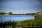 Blick über den Salbker See