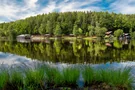 Der wunderschöne Wald am Holzöstersee