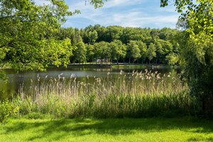 Fotos vom Holzöstersee