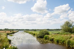 Fotos vom Boekzeteler See