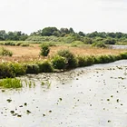 Boekzeteler See