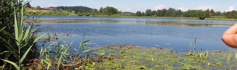 Eschenauer See Headmotiv