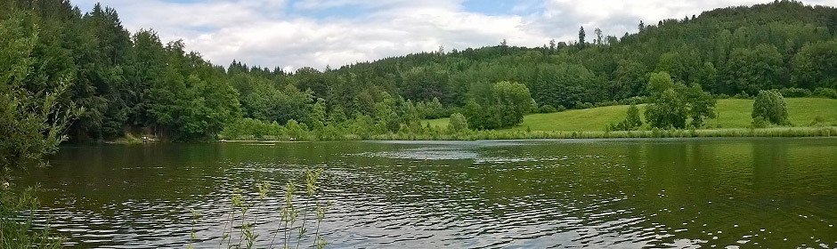 Waldweiher Headmotiv