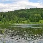 Waldweiher