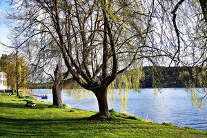 Fotos vom Stausee Lipno