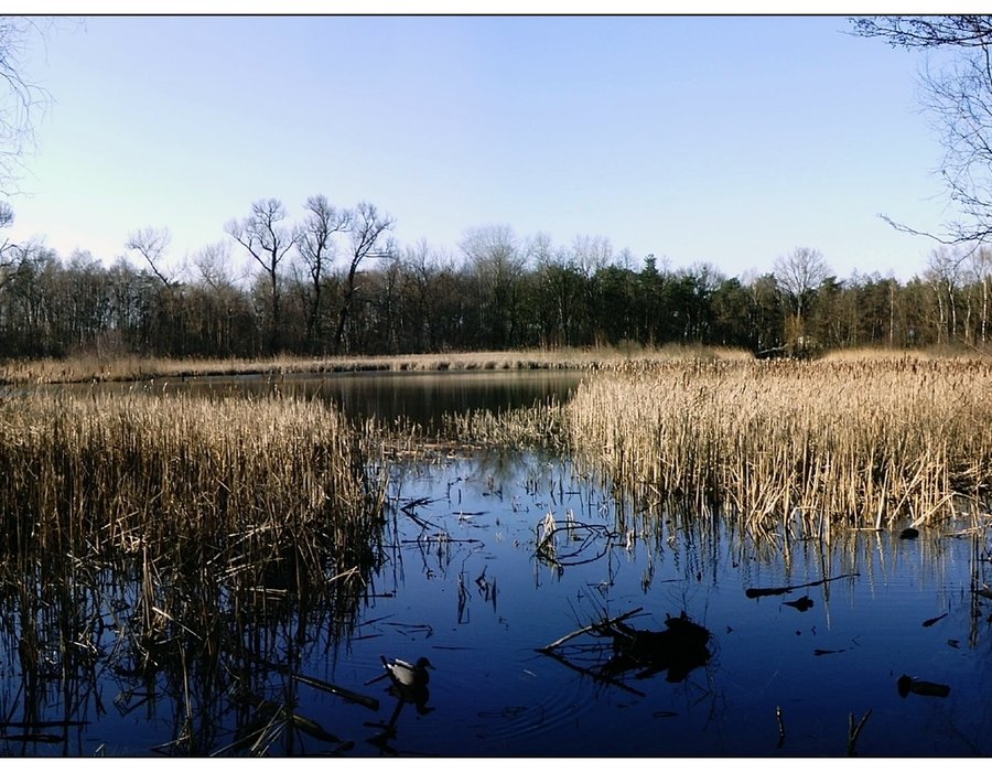 Fotos vom Fauler See Seen.de