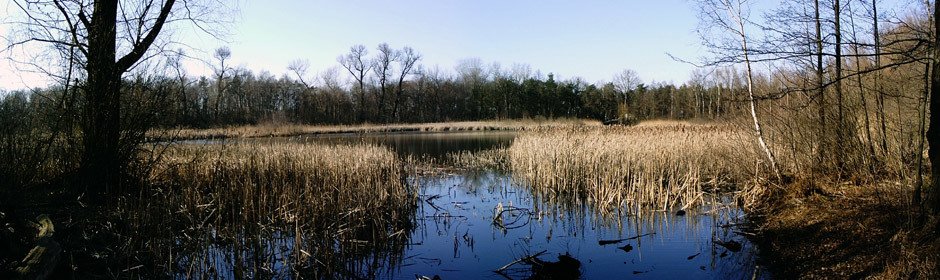 Fauler See Headmotiv