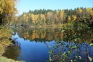 Blick über den Waldsee Argenthal