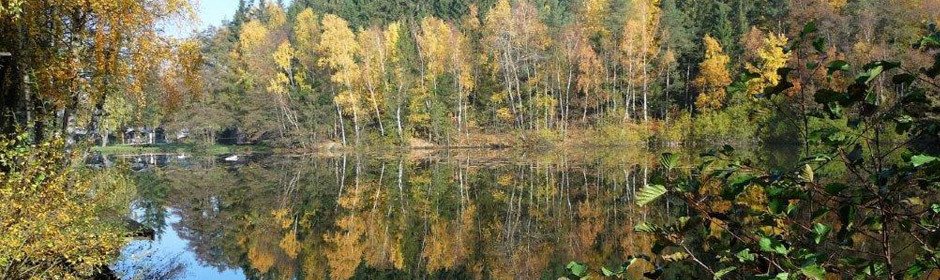 Waldsee Argenthal Headmotiv