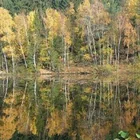 Waldsee Argenthal