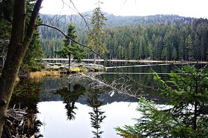 Fotos vom Großer Arbersee