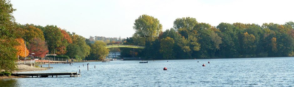 Wolfssee Headmotiv