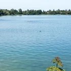 Fasaneriesee