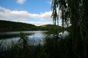 Fotos vom Vienenburger See
