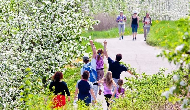 Tour durch die Weinberge (wein.kaltern) Tour durch die Weinberge (wein.kaltern)