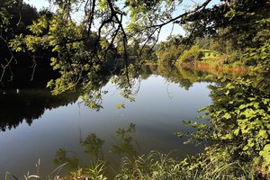 Fotos vom Zellerweiher