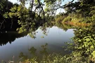 Blick über den Zellerweiher