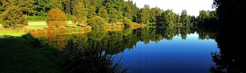 Zellerweiher Headmotiv