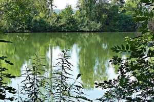 Fotos von den Tapfheimer Seenplatte