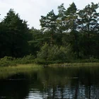 Oxhultasjön