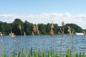 Top Hotels am Scharmützelsee