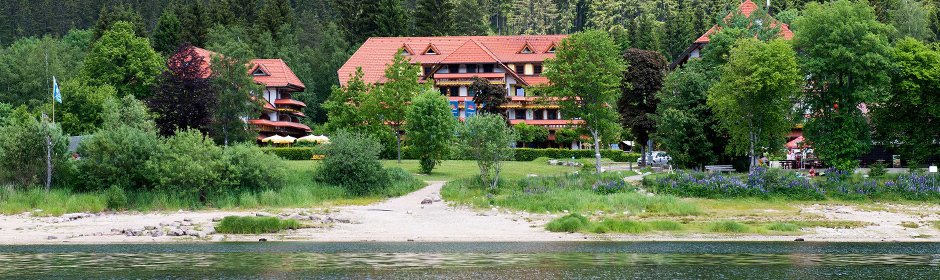 Wellnesshotel Auerhahn Headmotiv