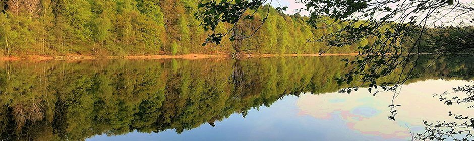 Garrensee Headmotiv