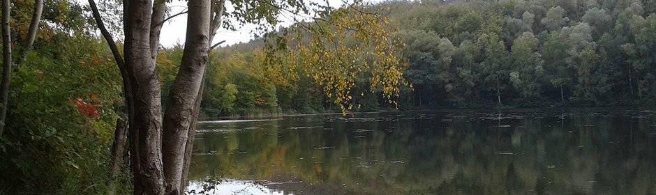 Obersee Headmotiv