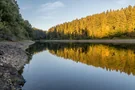 Blick über die Genkeltalsperre auf den Wald