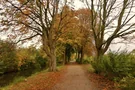 Allee am Rantzauer See