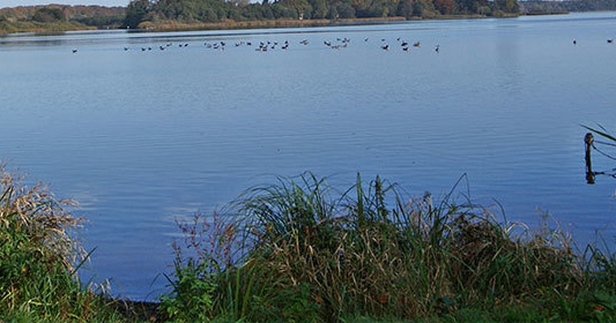 Der Westensee Die schönsten Ferienwohnungen