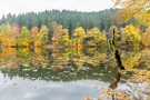 Blick über den Stauweiher Bierberstein