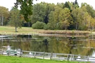 Waldstück am Bayersoiener See 