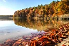 Prebelowsee im Herbst