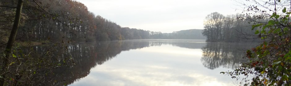 Heitkampsee Headmotiv