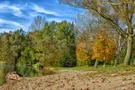 Herbst am Epplesee