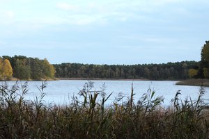 Fotos vom Frauensee