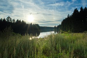 Fotos vom Prinzen-Teich