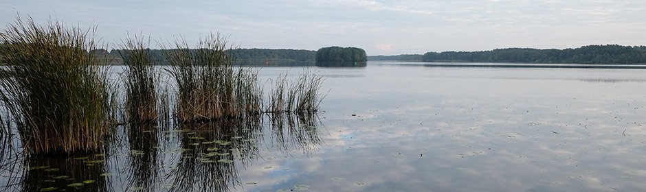 Dolgensee Headmotiv