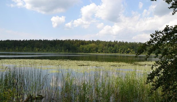 Müritz Nationalpark Müritz Nationalpark