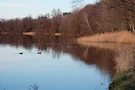 Der Pätzer Vordersee im April