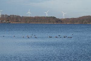 Fotos vom Pätzer Vordersee